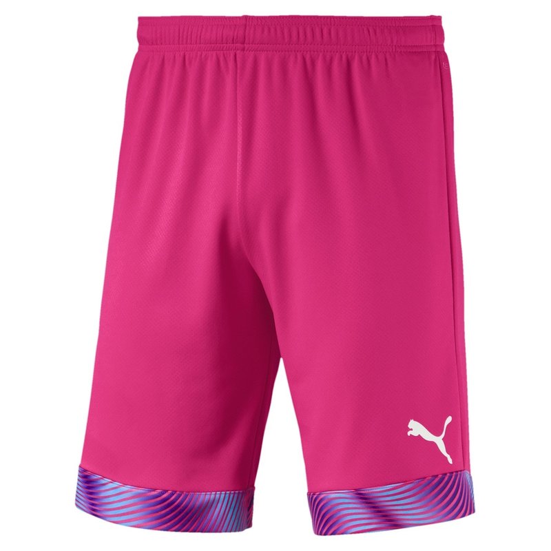 Puma CUP Short GK Sn99