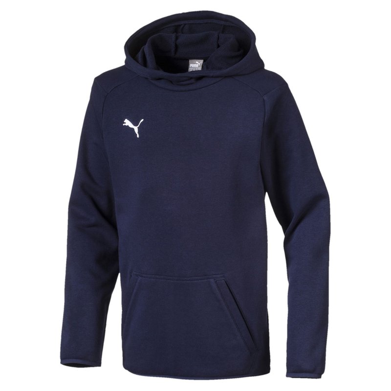 Puma Casuals Hoodie Juniors