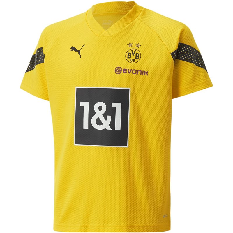 Puma Bvb Train Tee Jn99