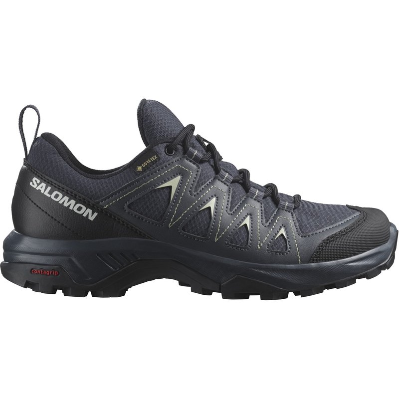 Salomon Braze L GTX Ld00