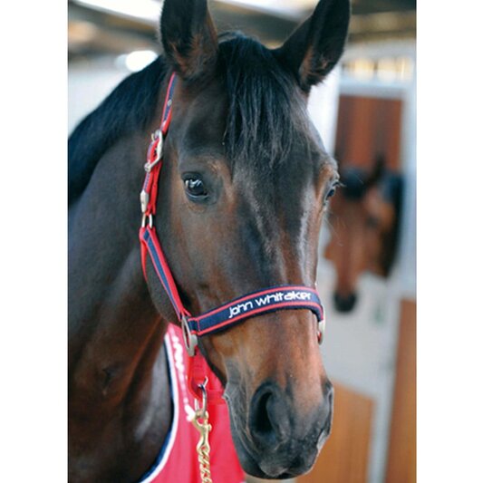 John Whitaker Padded Head Collar