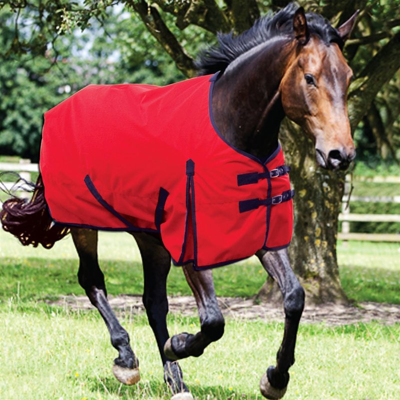 Requisite Standard 600D Lite 0g Turnout Rug
