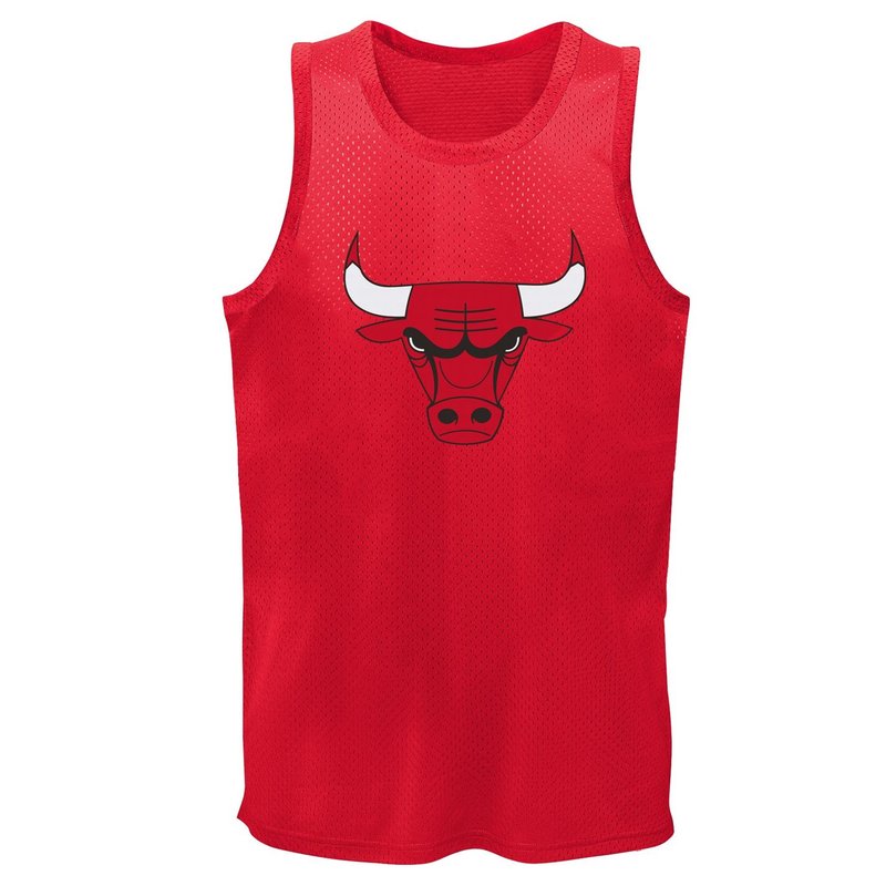 NBA Chicago Bulls Mesh Jersey Vest Mens