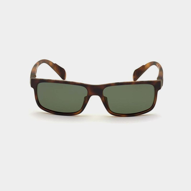adidas Havana Sunglasses