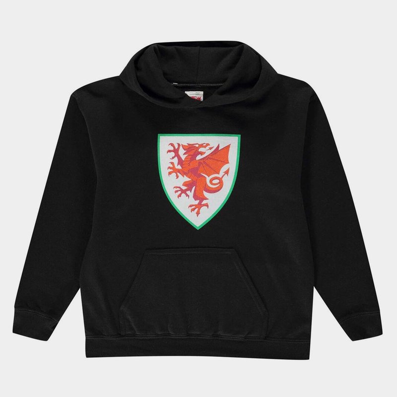 Source Lab Logo OTH Wales Hoodie Juniors