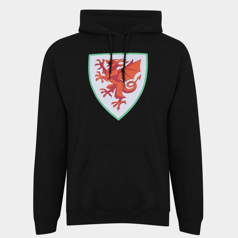 Source Lab Wales Logo OTH Hoodie Mens