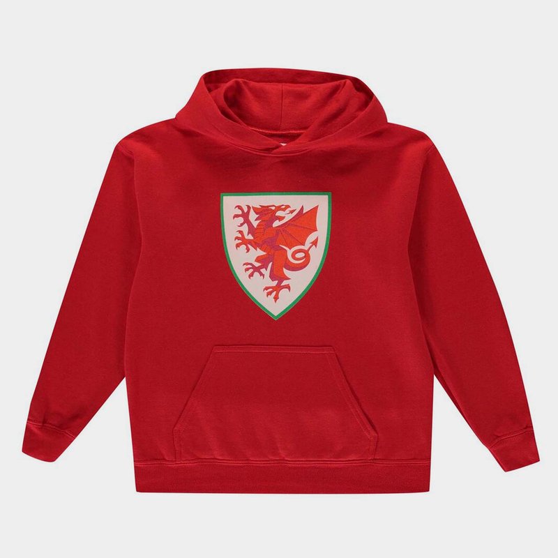 Source Lab Logo OTH Wales Hoodie Juniors
