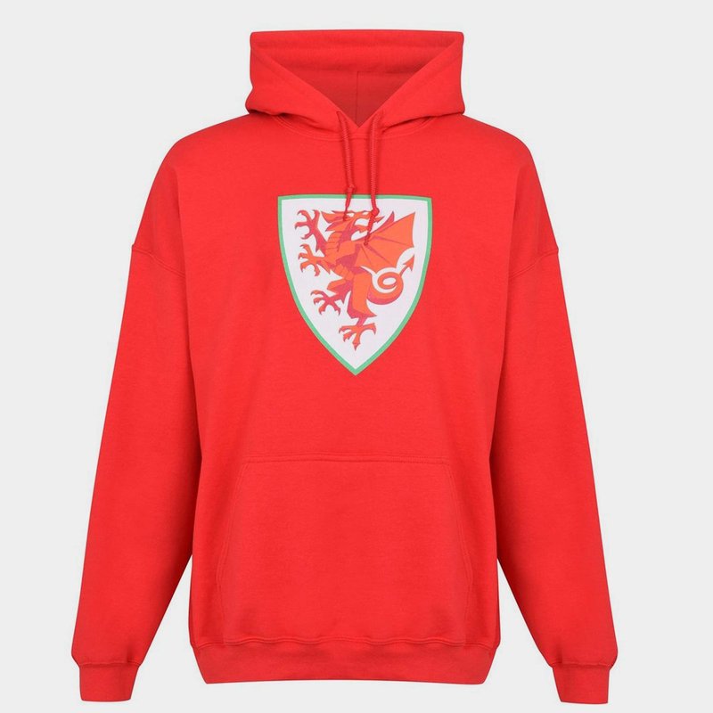 Source Lab Wales Logo OTH Hoodie Mens