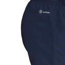 Blues Home Shorts 2022
