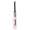 V500 Junior Cricket Bat