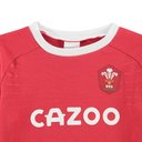 Wales Rugby Union Shorts And T Shirt Baby