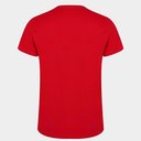 Liverpool FC Cotton T Shirt Mens