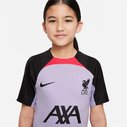 Liverpool Away Strike Top 2022 2023 Juniors