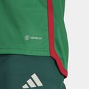 Mexico Home Shirt 2022 2023 Adults