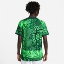 Nigeria Authentic Home Shirt 2022 2023 Adults