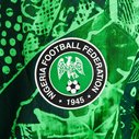 Nigeria Authentic Home Shirt 2022 2023 Adults
