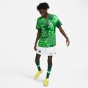 Nigeria Authentic Home Shirt 2022 2023 Adults