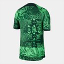 Nigeria Authentic Home Shirt 2022 2023 Adults