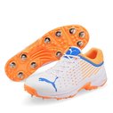 22.1 Spike Cricket Shoes
