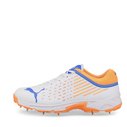 22.1 Spike Cricket Shoes