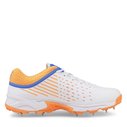 22.1 Spike Cricket Shoes