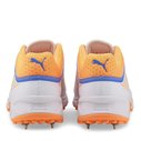 22.1 Spike Cricket Shoes