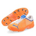22.1 Spike Cricket Shoes