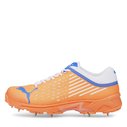 22.1 Spike Cricket Shoes