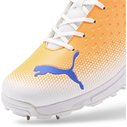 22.2 Spike Cricket Shoes