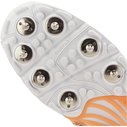 22.2 Spike Cricket Shoes