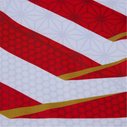 Japan RWC 2023 Home Shirt Kids