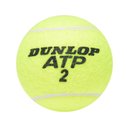 ATP 2 x 4 Tube Tennis Balls