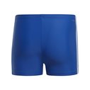 3 Stripe Swimming Shorts Mens