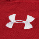 Wales WRU Graphic Hooded Sweat