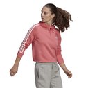 3s Crop OTH Hoodie Womens