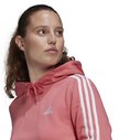 3s Crop OTH Hoodie Womens