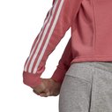 3s Crop OTH Hoodie Womens