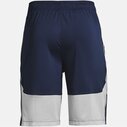 2.0 Shorts