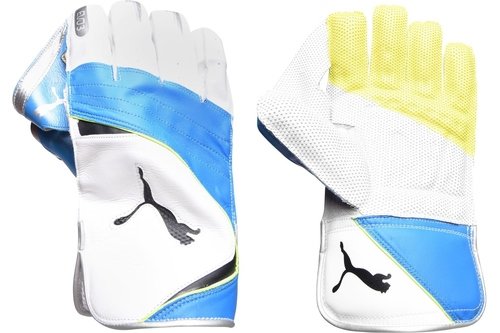 Puma Evo 3 Cricket Gloves, £32.00